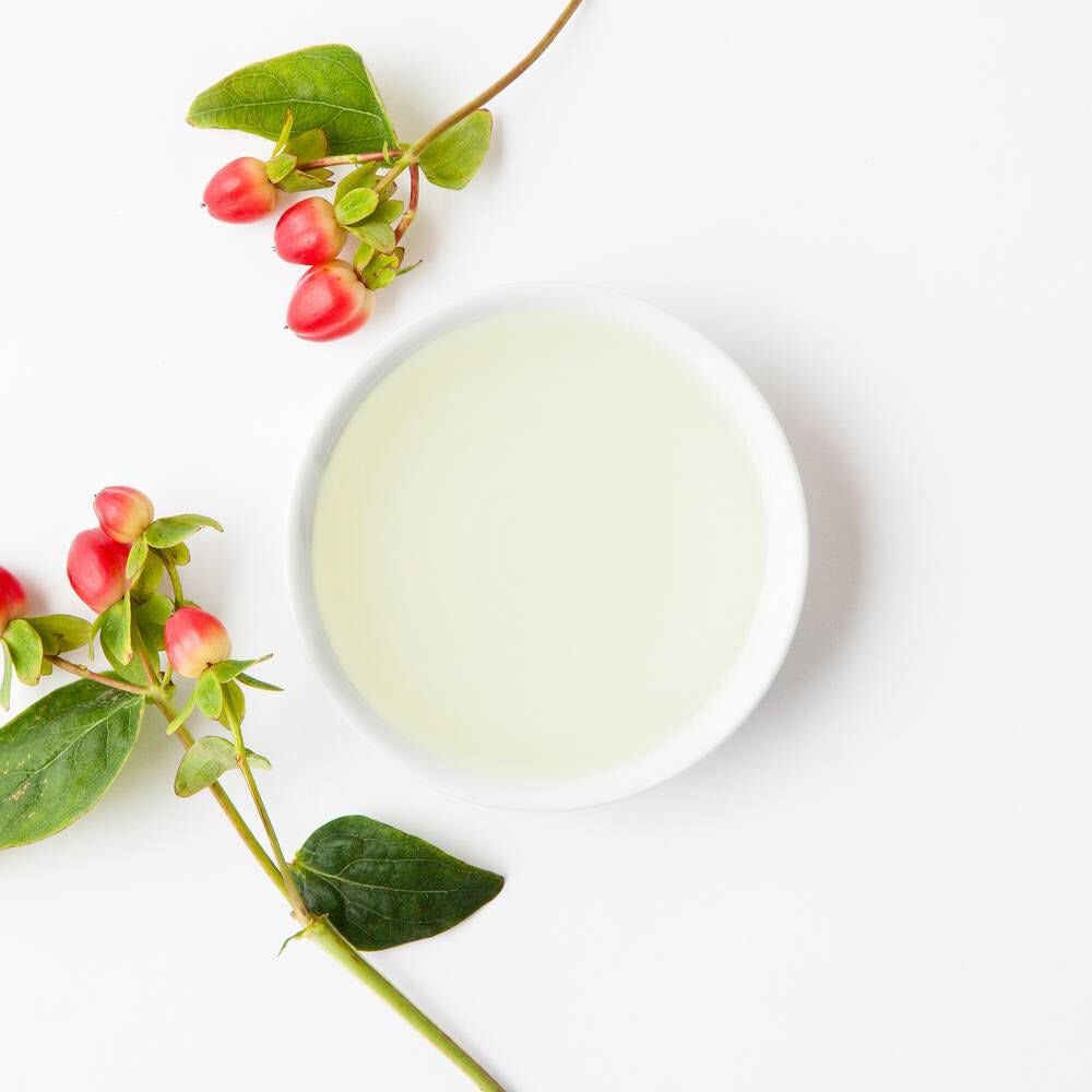 Bowl Of Rosehips Oil With Rosehip Around It