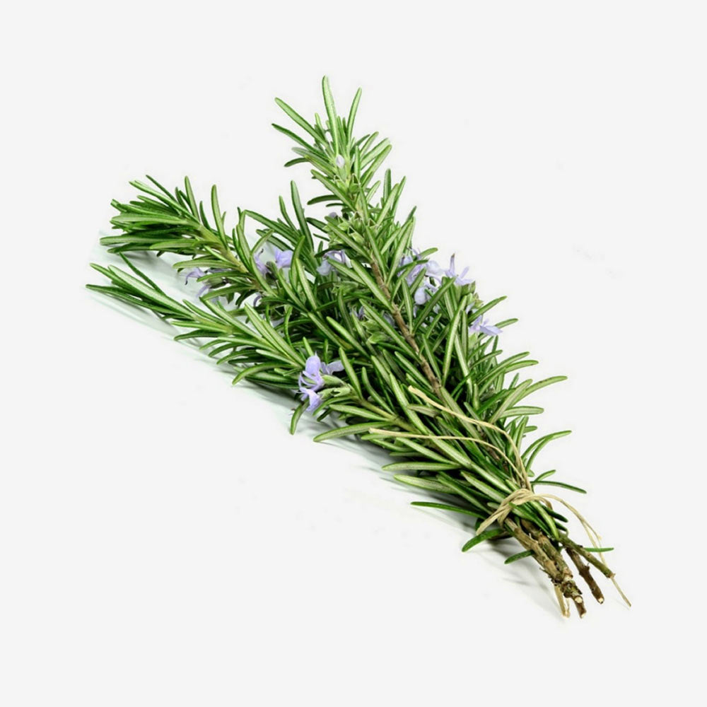 Bunch Of Rosemary Leaves